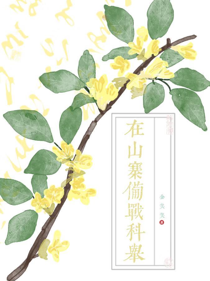 在山寨备战科举