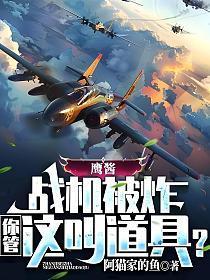 鹰酱战机被炸,你管这叫道具?