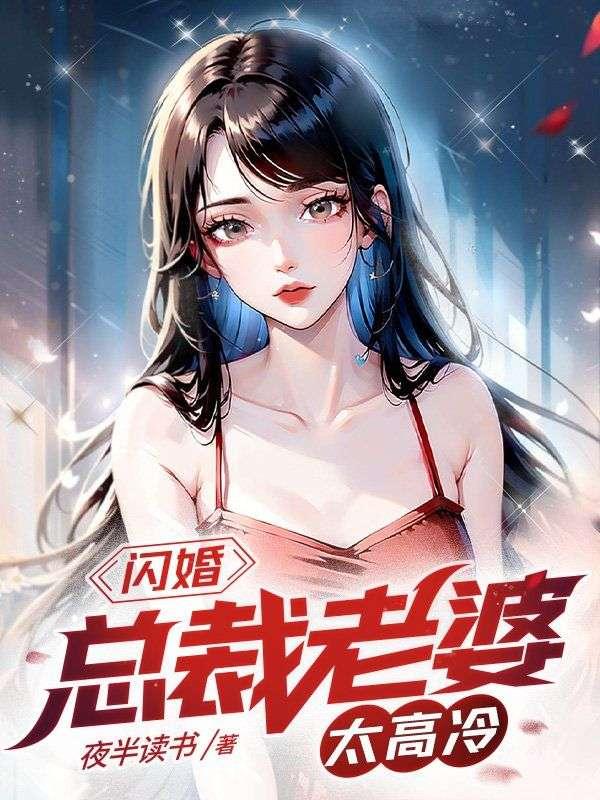 闪婚:总裁老婆太高冷