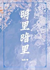 《明里暗里(1v2,兄弟盖饭)》