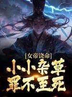 苏辰沐灵