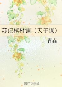 苏记棺材铺(天子谋)