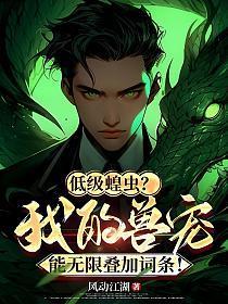 低级蝗虫?我的兽宠能无限叠加词条
